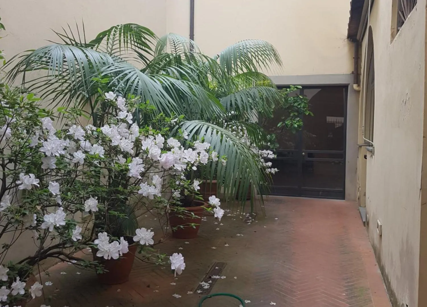 Santa Croce Cozy Duplex Apartment Florence