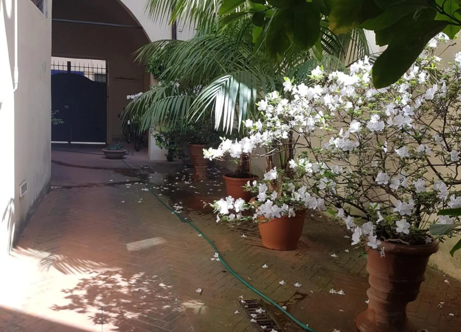 Santa Croce Cozy Duplex Apartment Florence 0*,